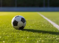 战术分析,挪威高速锋,线搭档,万博体育,ManBetX,万博体育网址,万博app,万博官网,万博集团